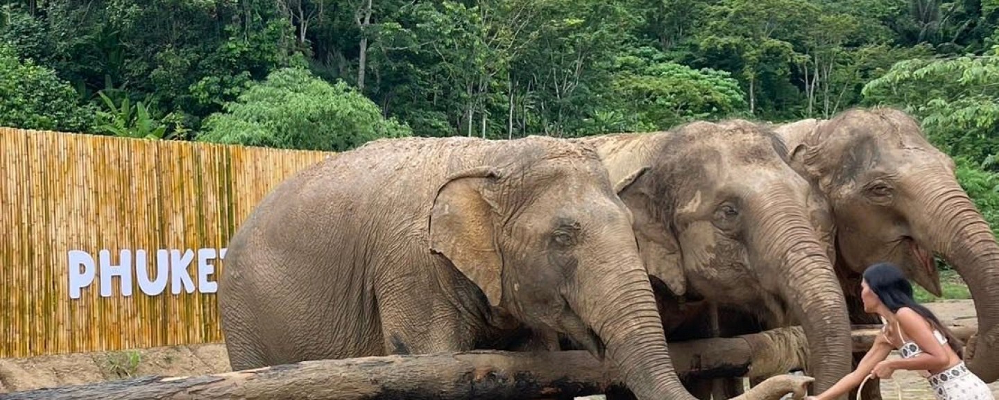 Phuket Elephant World