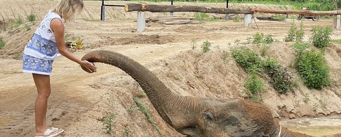 Phuket Elephant World