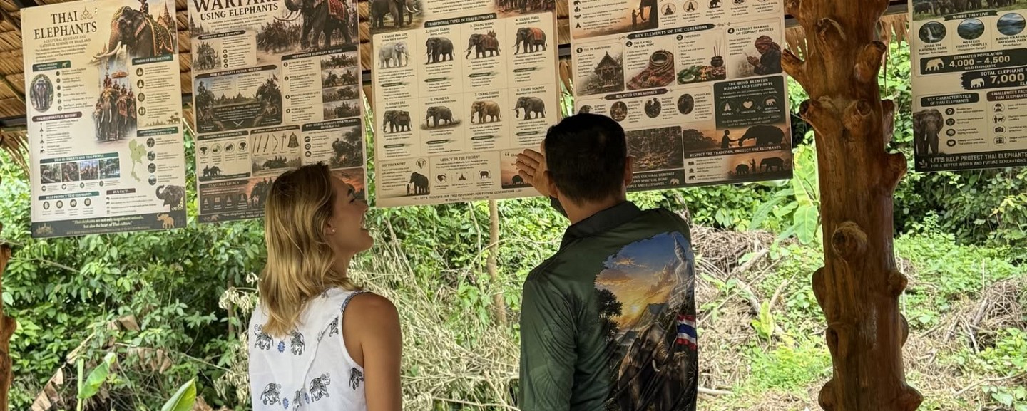 Phuket Elephant World