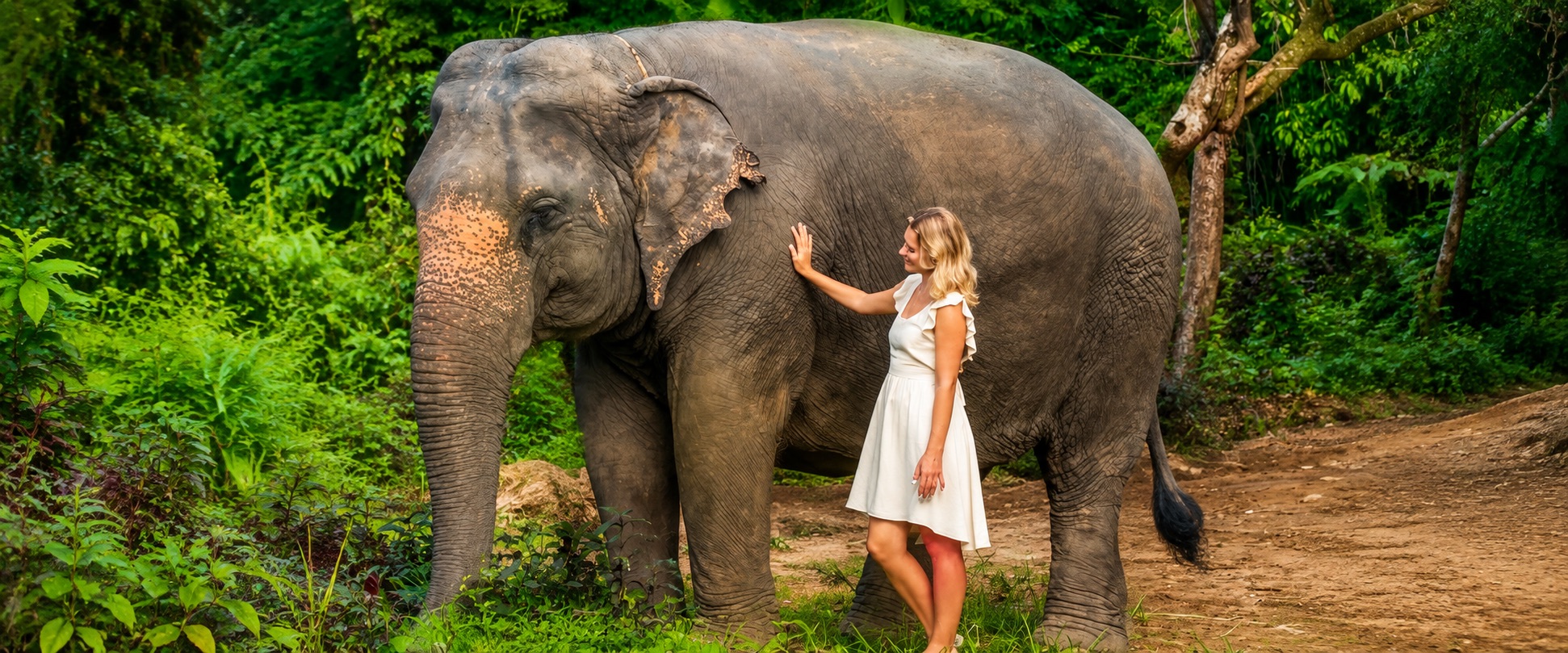 Phuket Elephant World